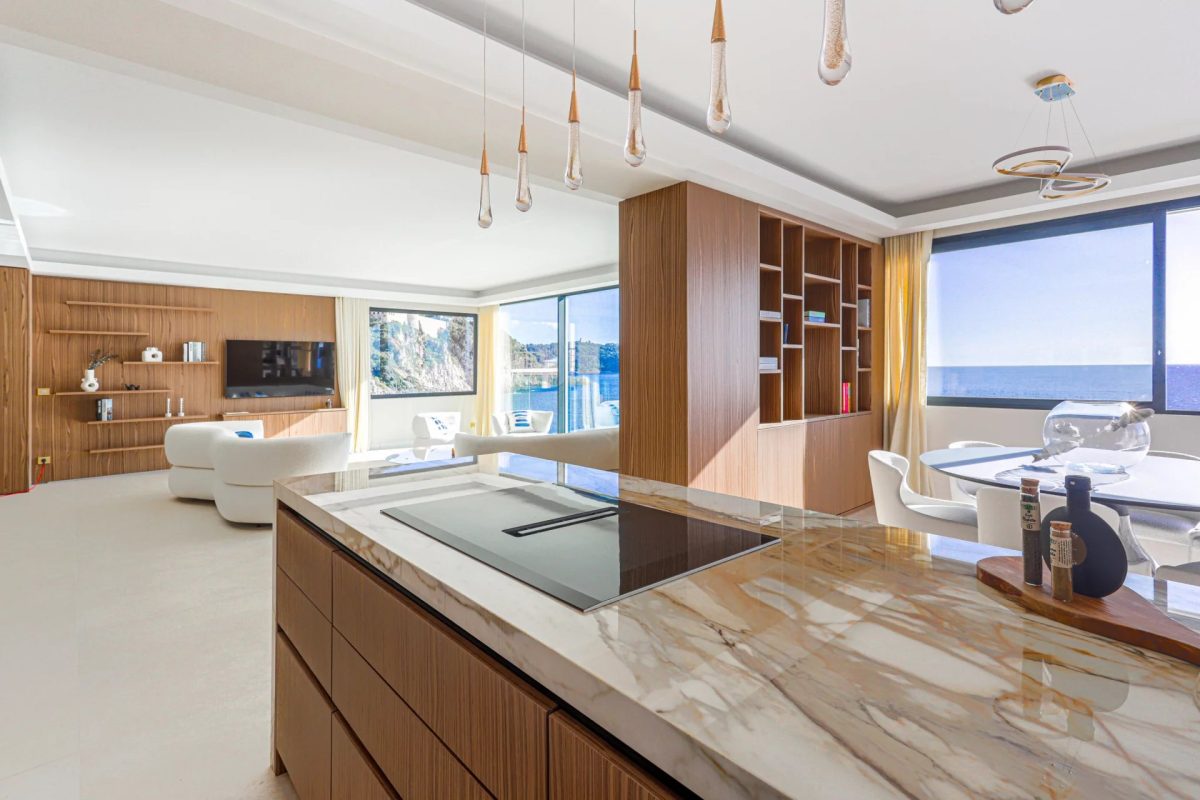 VILLA PISCINE VUE MER CAP DE NICE